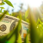 احصل على 50 دولار الآن